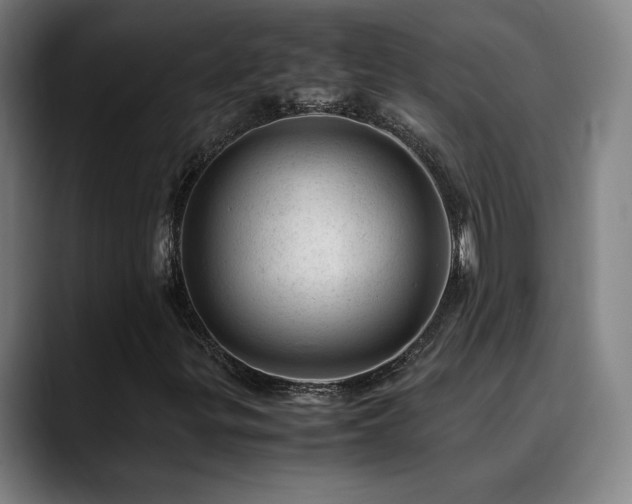 X0000090431299200707131154
