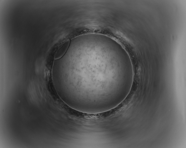 X0000090431302200707131154