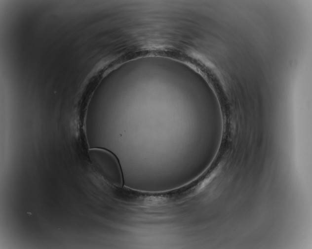 X0000090431306200707131154