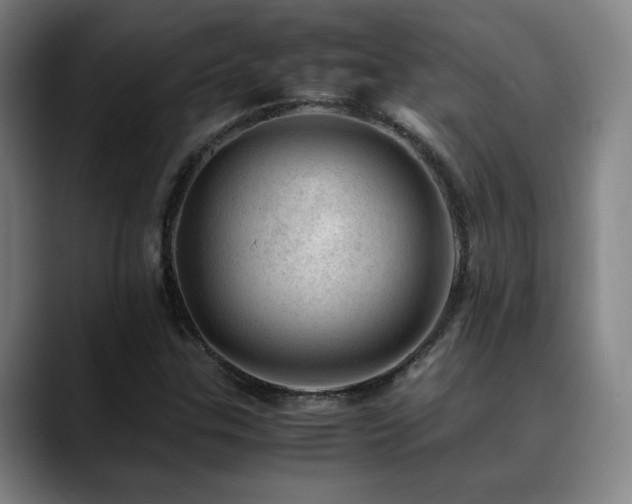 X0000090431307200707131154