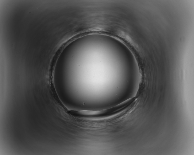 X0000090431308200707131154