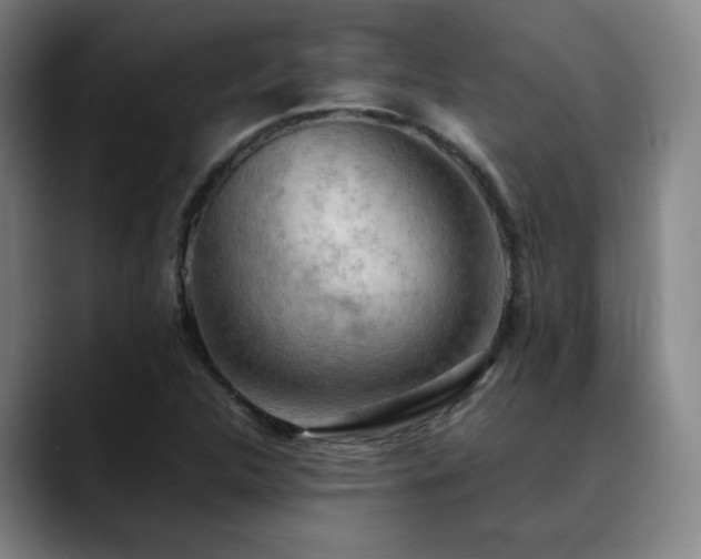 X0000090431312200707131154
