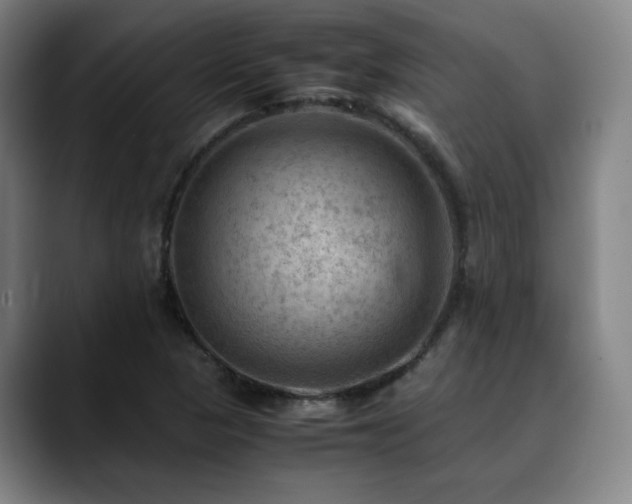 X0000090431313200707131154