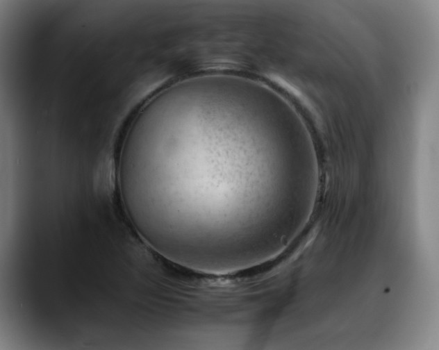 X0000090431317200707131154