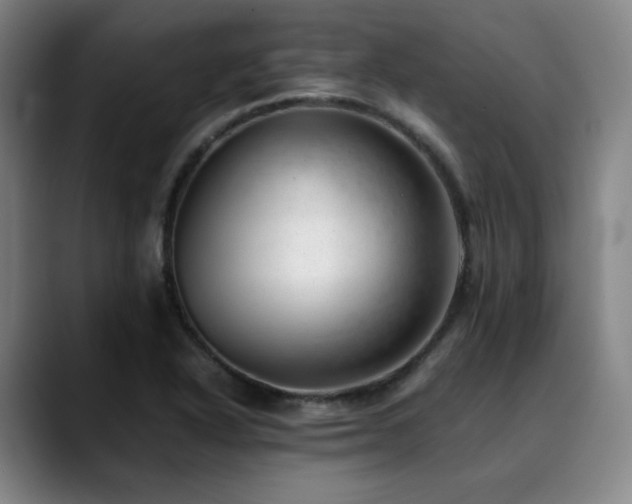 X0000090431318200707131154