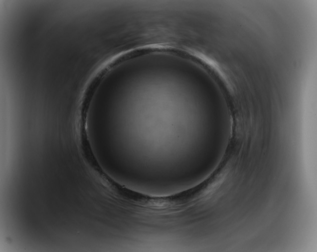 X0000090431319200707131154