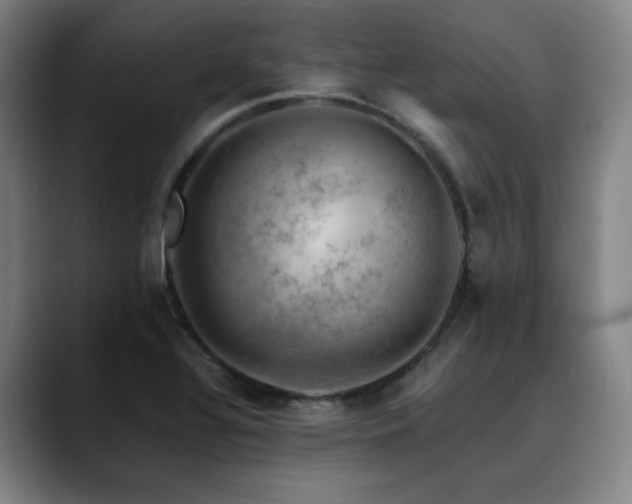 X0000090431320200707131154