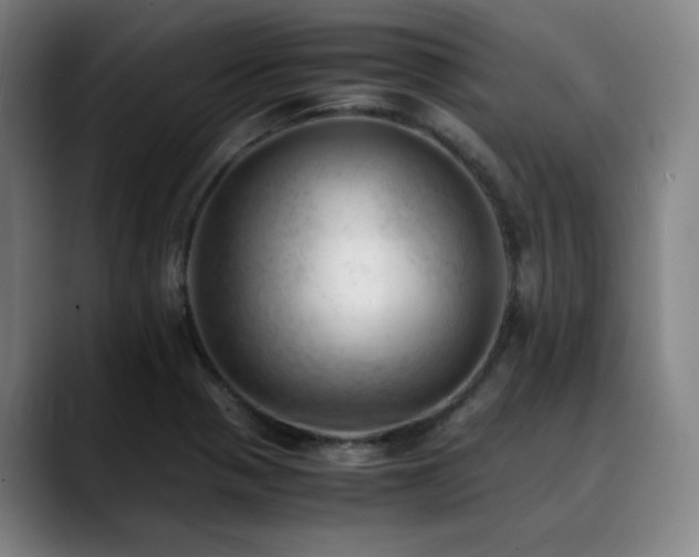 X0000090431321200707131154
