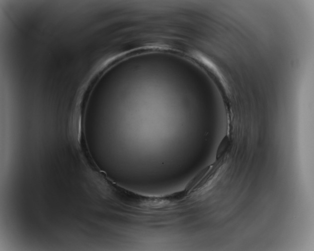 X0000090431323200707131154