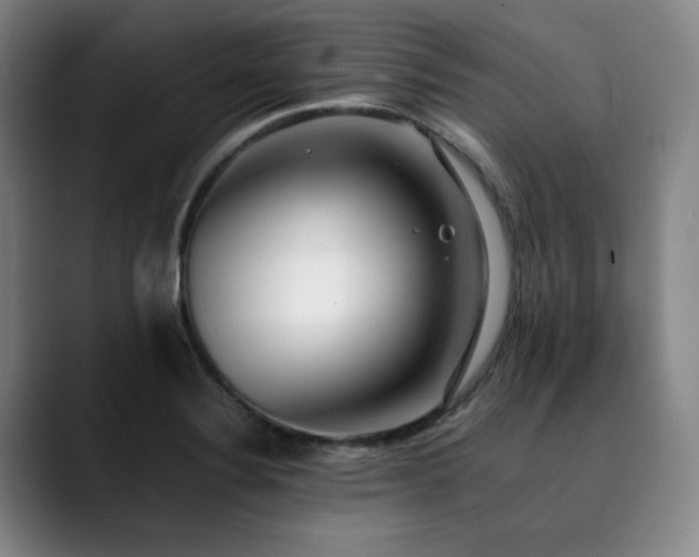 X0000090431324200707131154