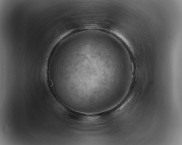 X0000090431325200707131154
