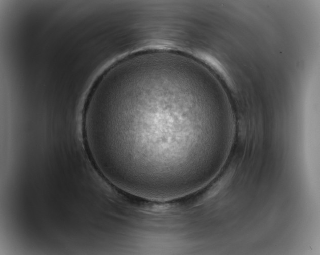 X0000090431326200707131154