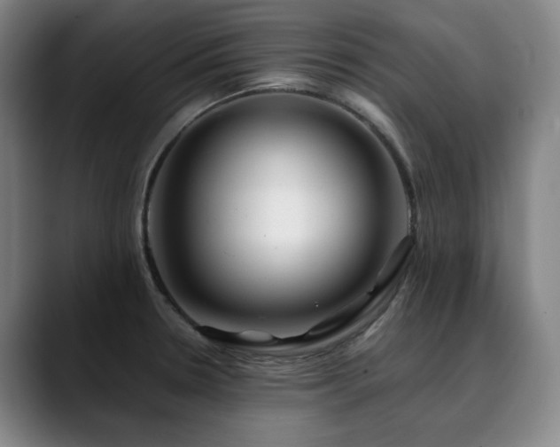 X0000090431330200707131154