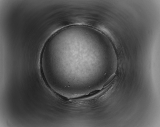 X0000090431331200707131154