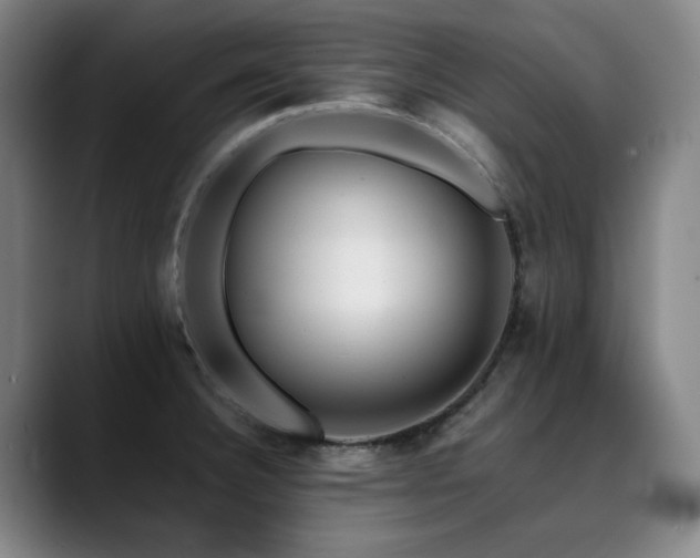 X0000090431332200707131154