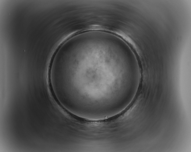 X0000090431333200707131154