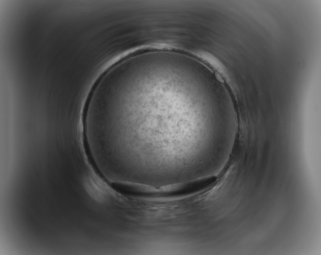 X0000090431335200707131154