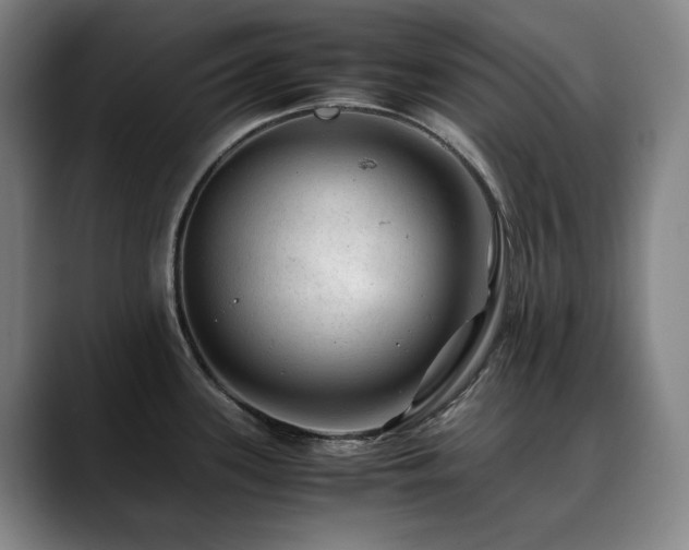 X0000090431339200707131154