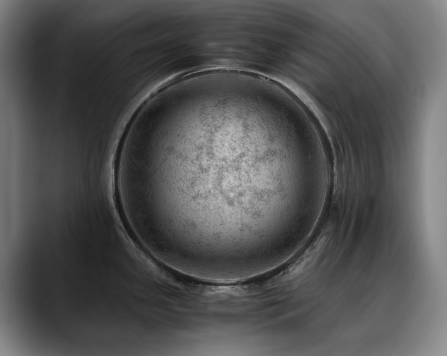 X0000090431341200707131154