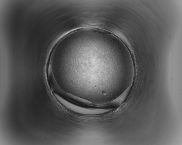 X0000090431344200707131154
