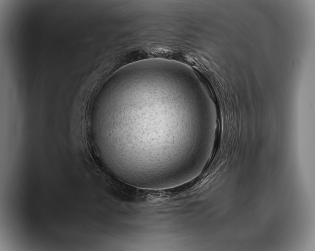 X0000090431345200707131154
