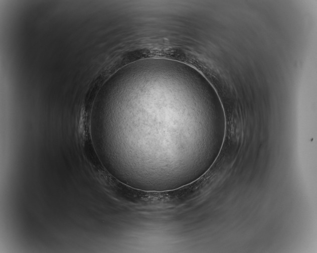 X0000090431346200707131154