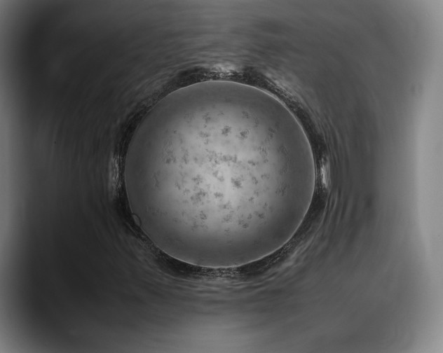 X0000090431347200707131154