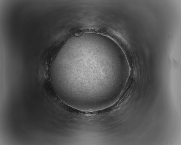 X0000090431350200707131154