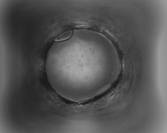 X0000090431351200707131154