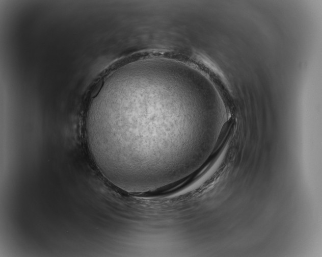 X0000090431352200707131154