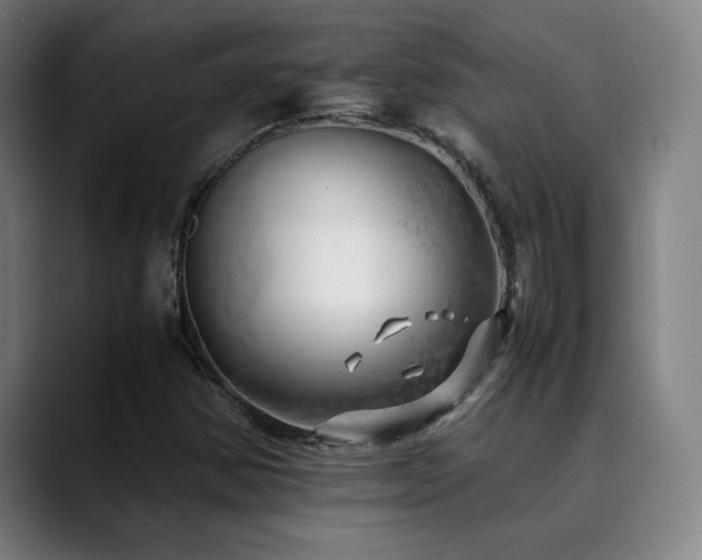 X0000090431354200707131154