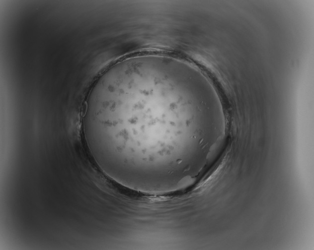 X0000090431355200707131154
