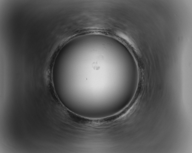 X0000090431357200707131154