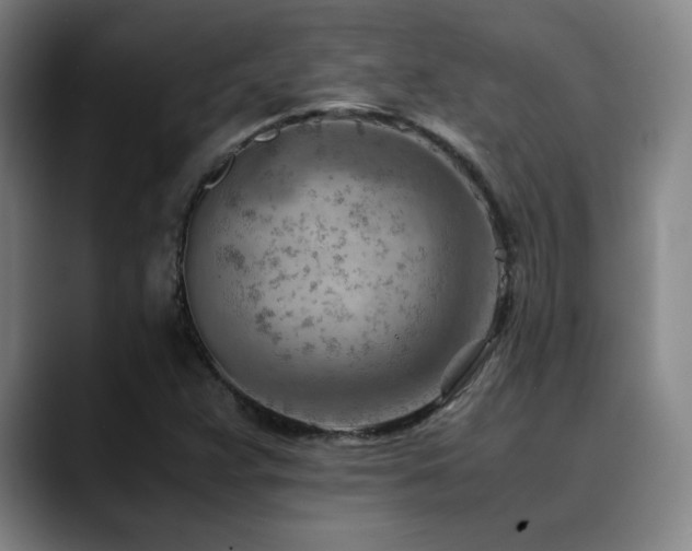X0000090431359200707131154