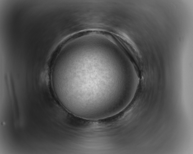 X0000090431360200707131154