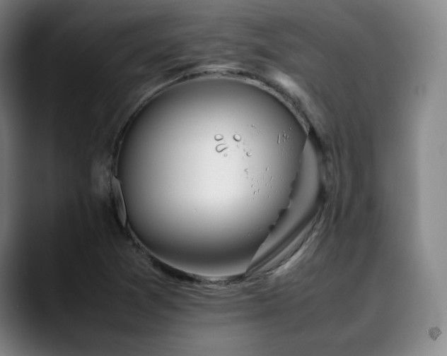 X0000090431361200707131154