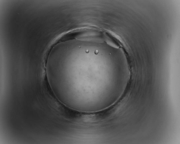 X0000090431363200707131154