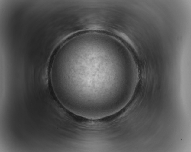 X0000090431364200707131154