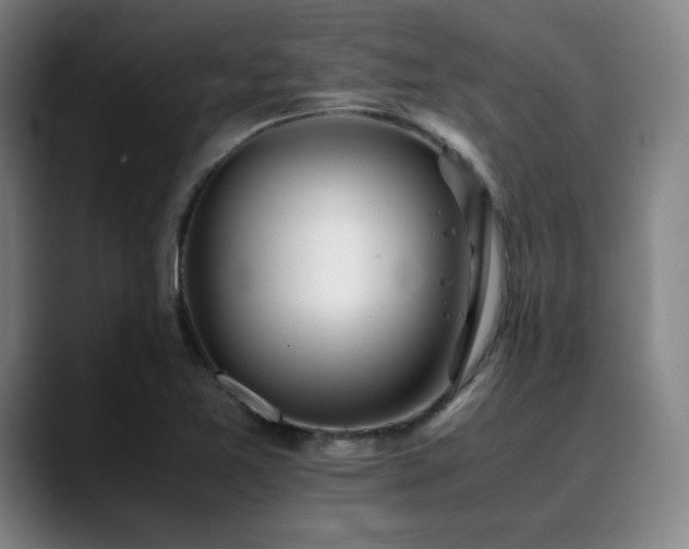 X0000090431365200707131153