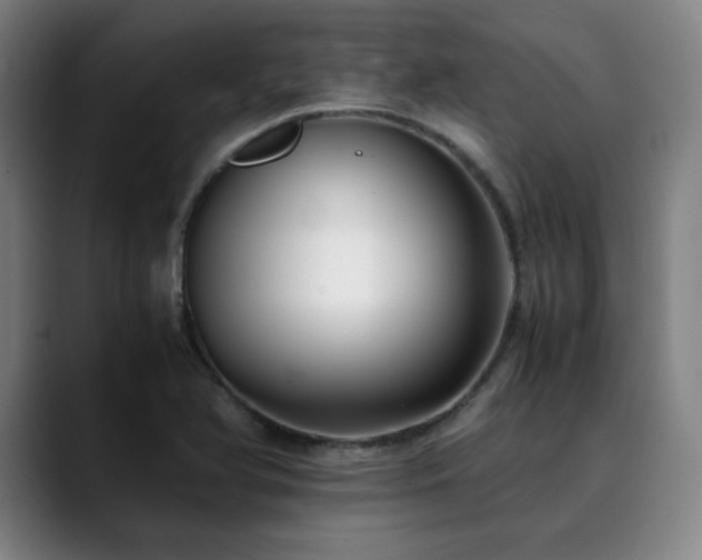 X0000090431366200707131153