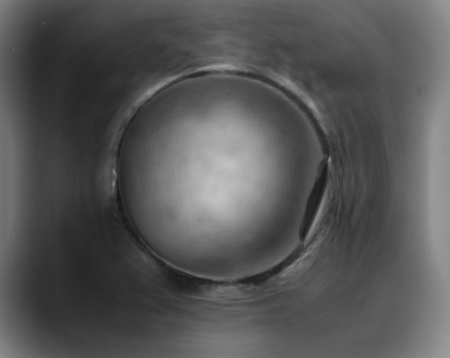 X0000090431367200707131153