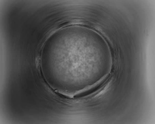 X0000090431369200707131153