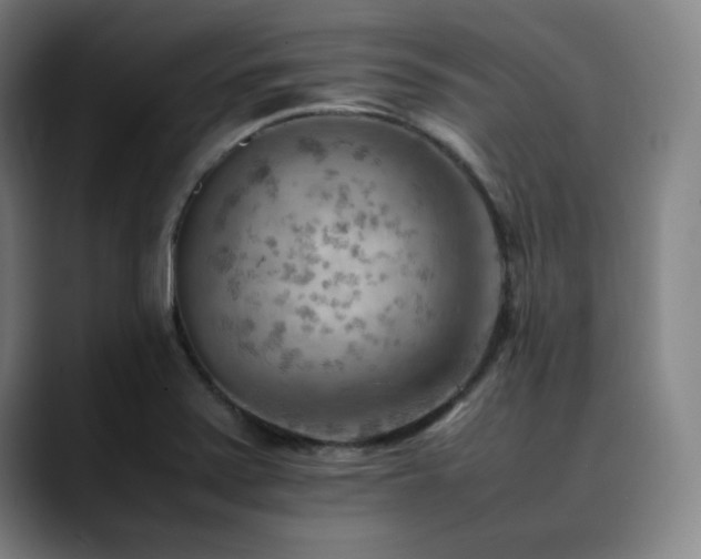X0000090431371200707131153
