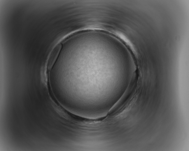 X0000090431372200707131153