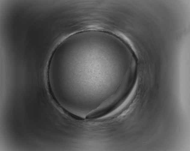 X0000090431373200707131153