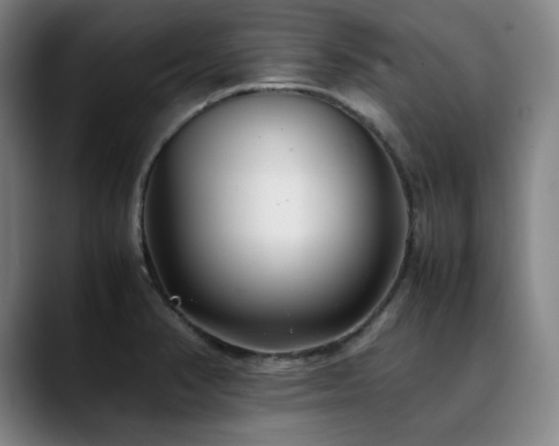 X0000090431374200707131153