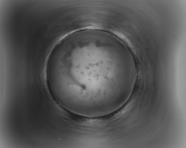 X0000090431375200707131153