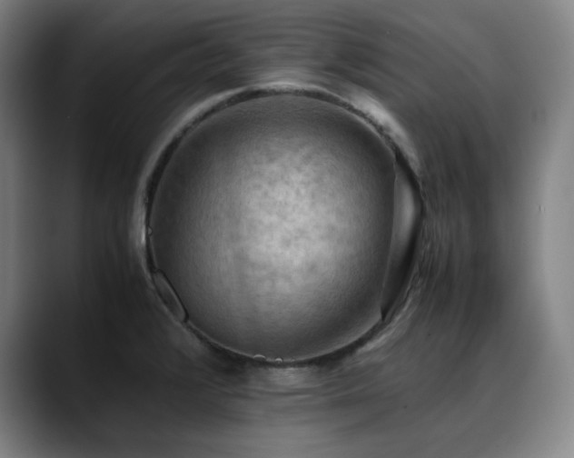 X0000090431376200707131153