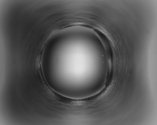X0000090431377200707131153