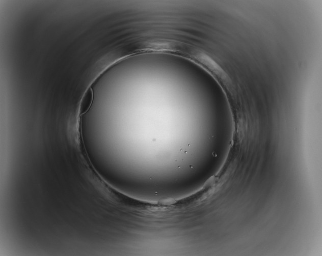 X0000090431378200707131153